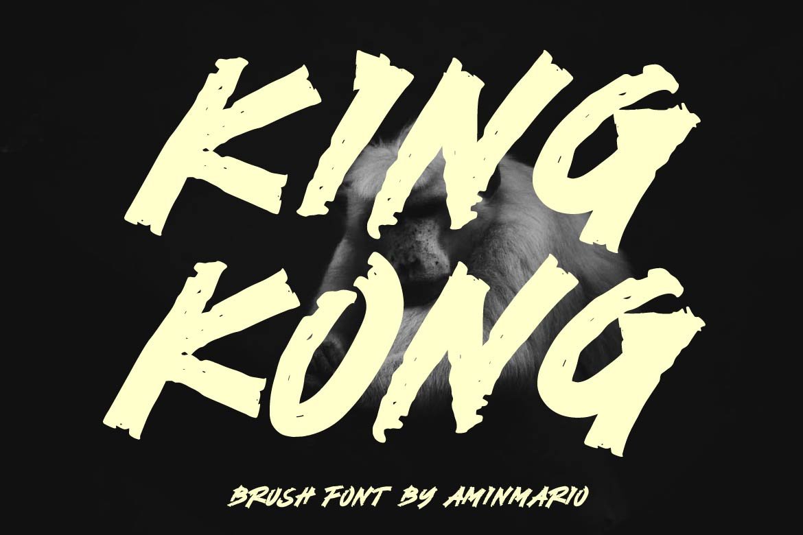 KING KONG cover image.
