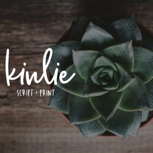 Kinlie cover image.