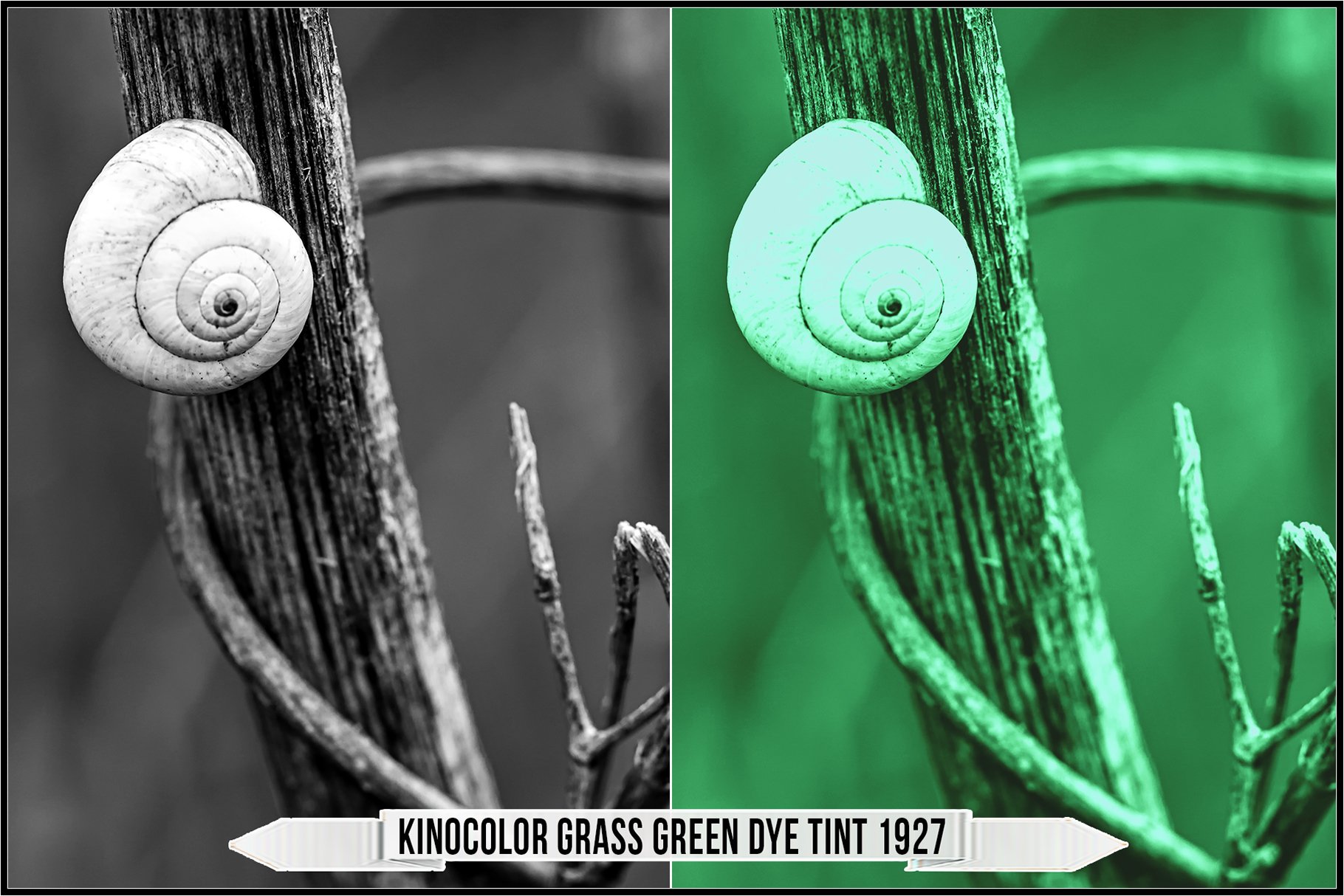 kinocolor grass green dye tint 1927 877