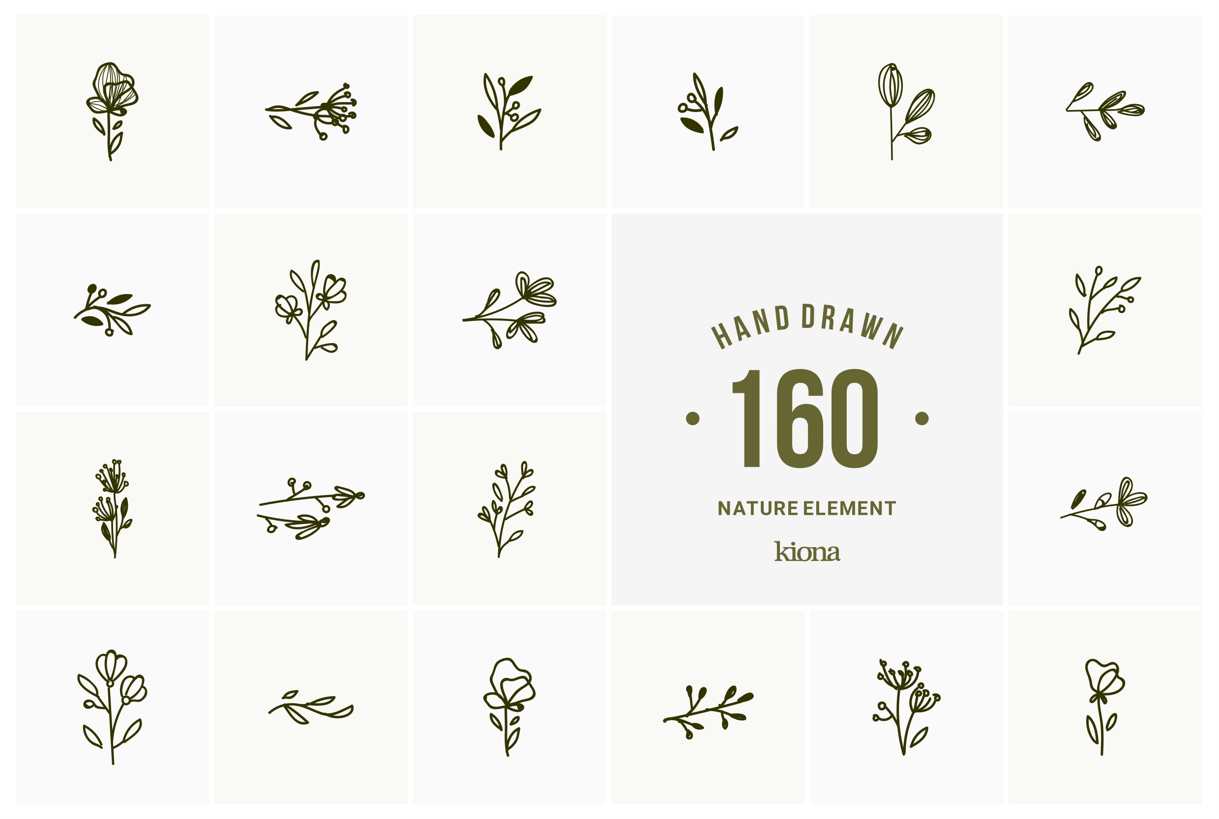 hand drawn natural element preview image.