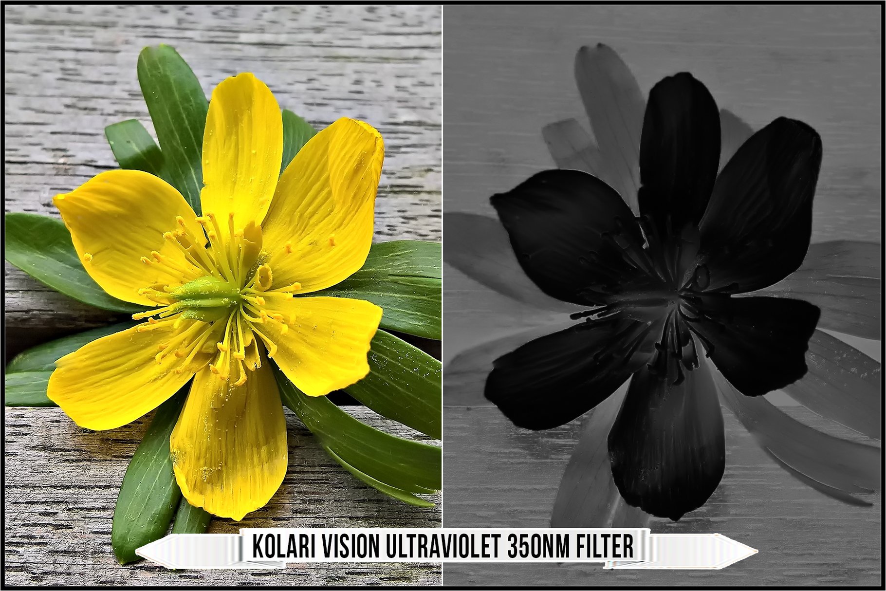 kolari vision ultraviolet 350nm filter 193