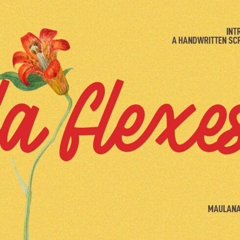 La flexes Handwritten Script Font cover image.