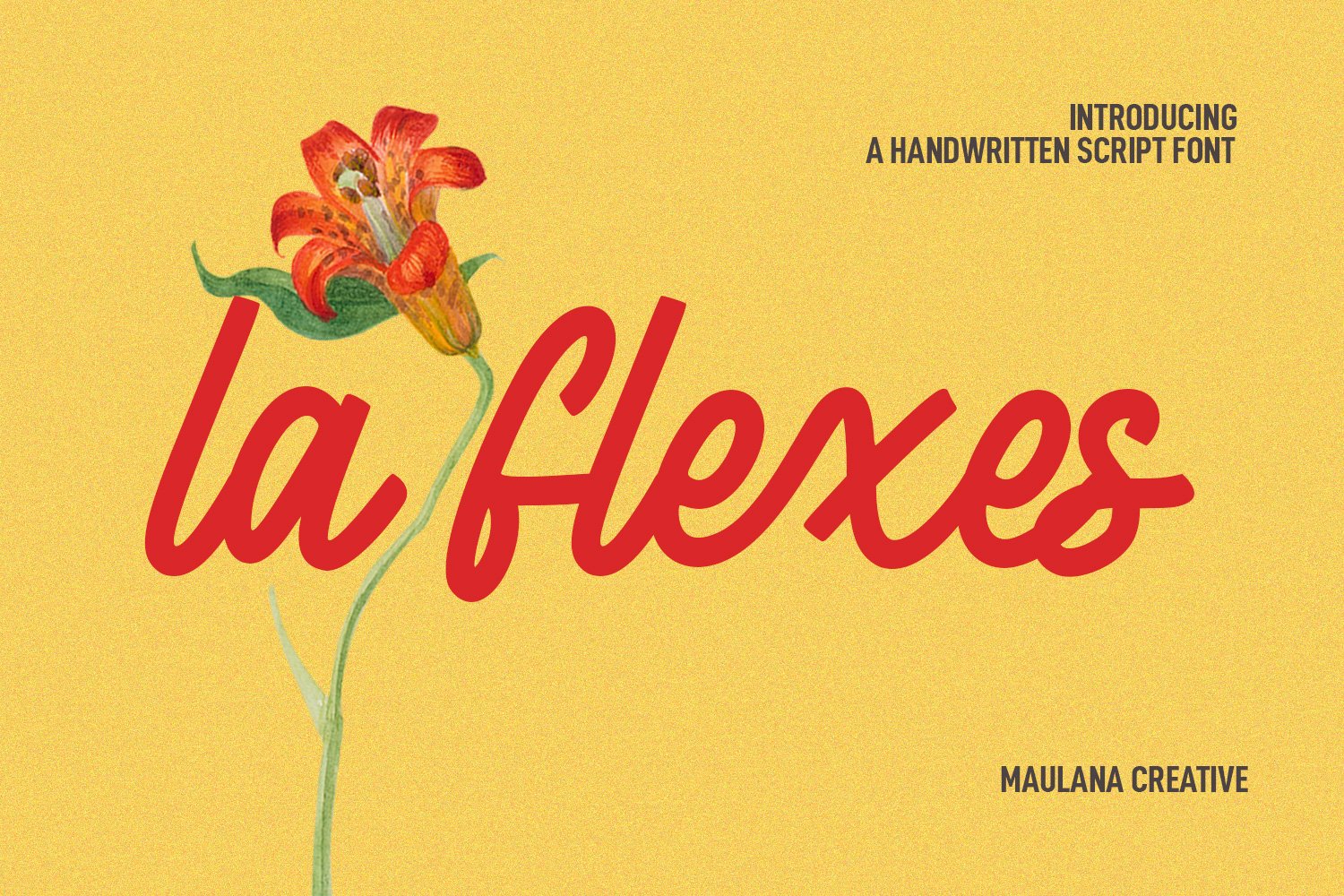 La flexes Handwritten Script Font cover image.