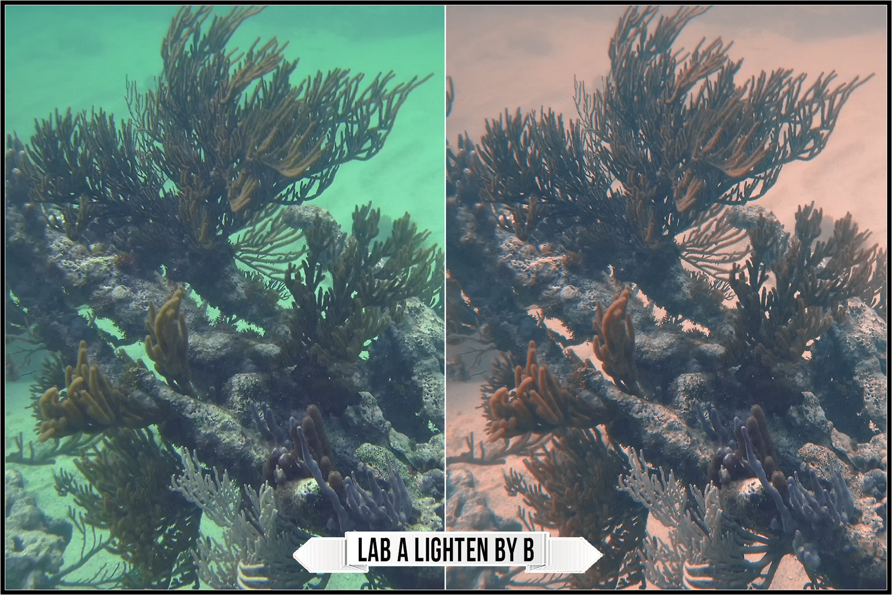 lab a lighten by b 837