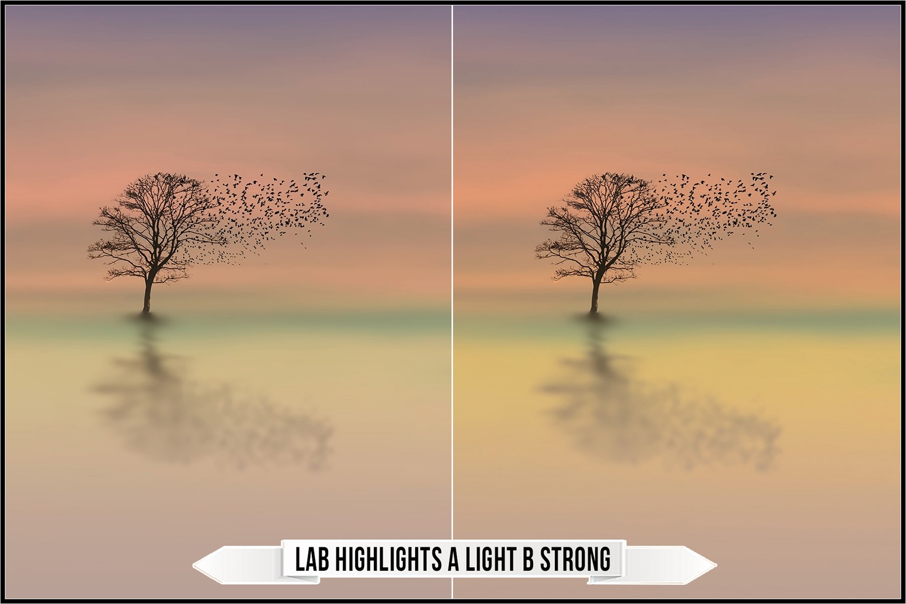 lab highlights a light b strong 454