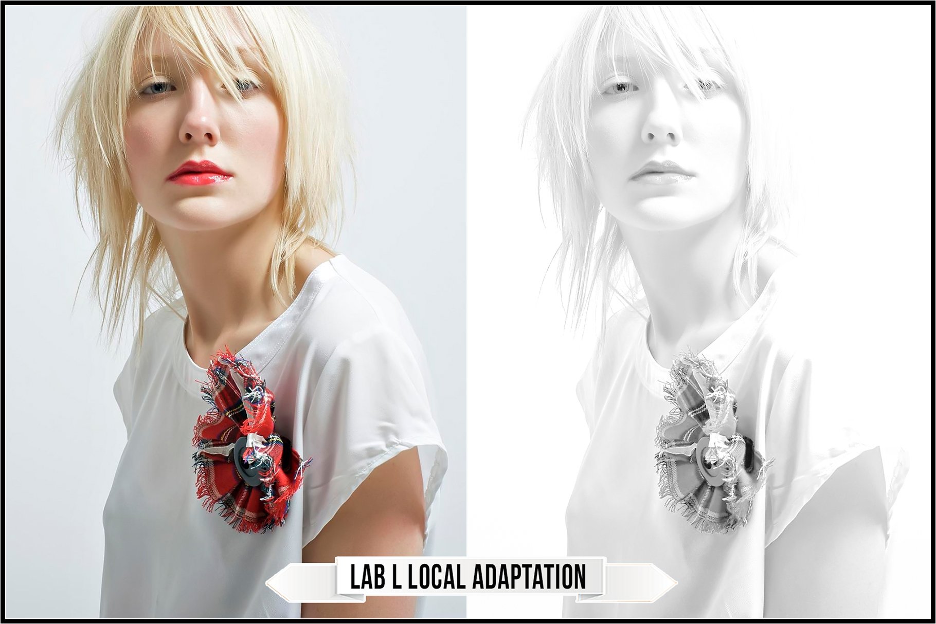 lab l local adaptation 614