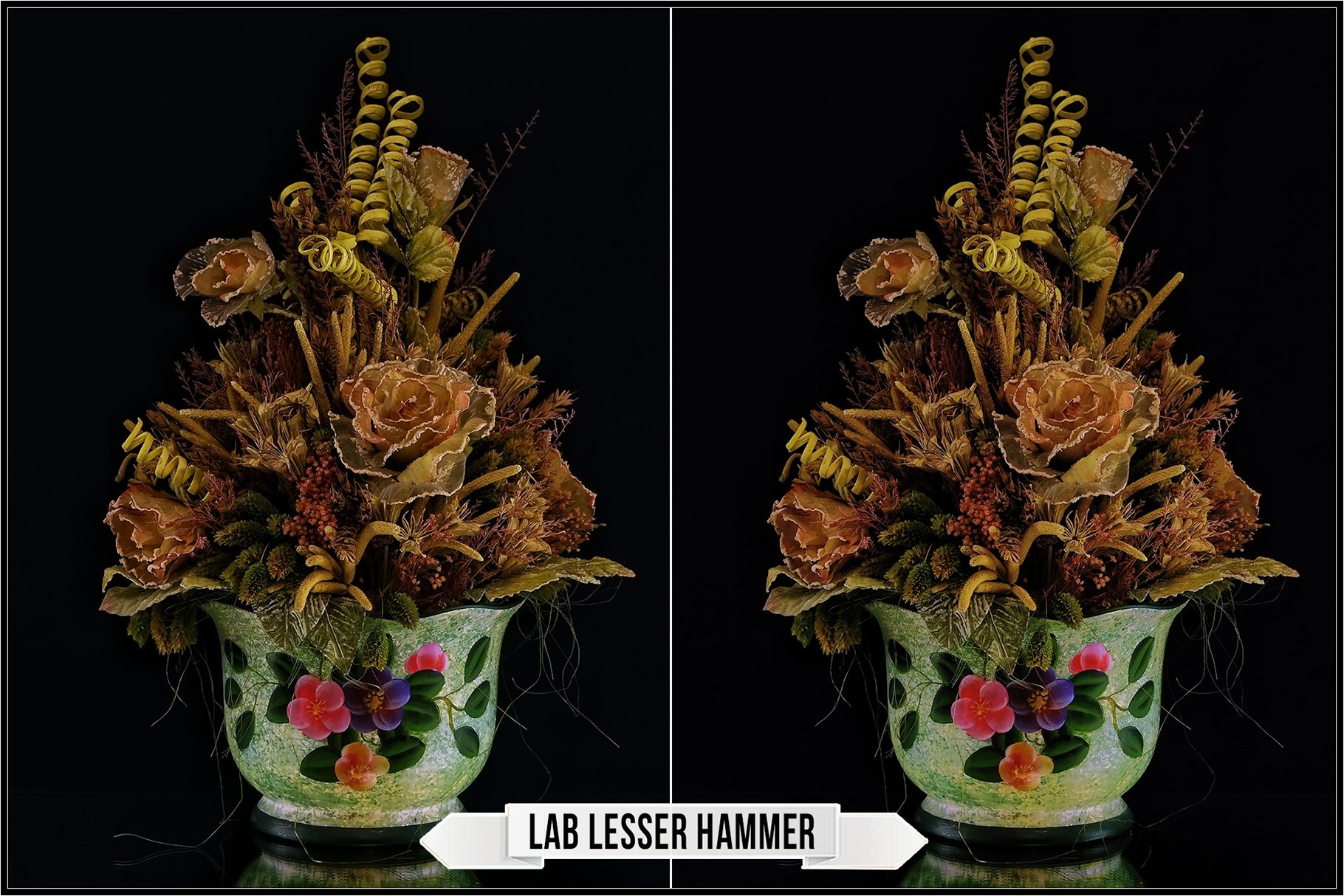 lab lesser hammer 677