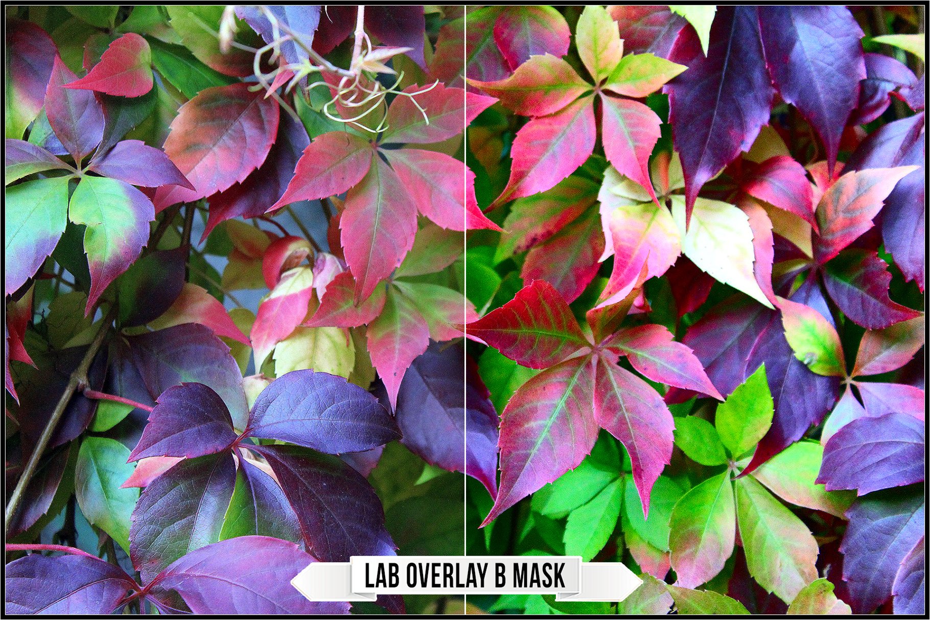 lab overlay b mask 42