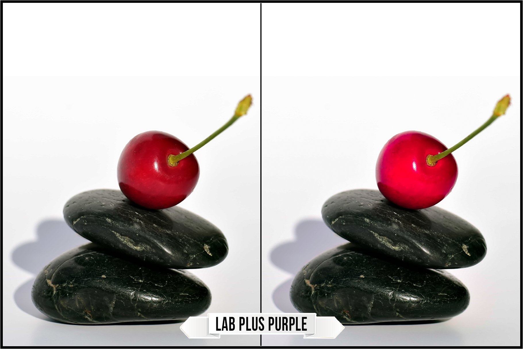 lab plus purple 307