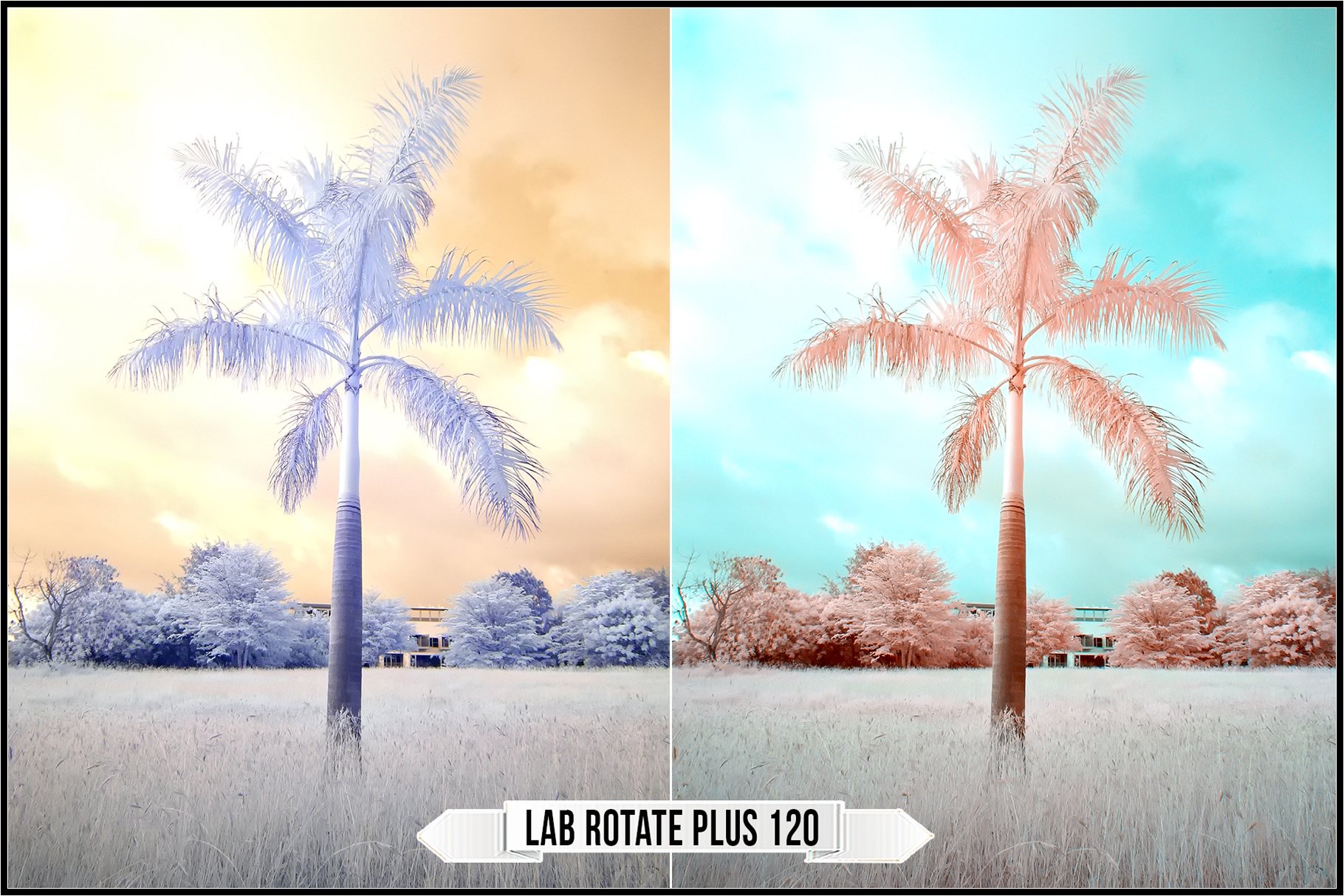 lab rotate plus 120 200