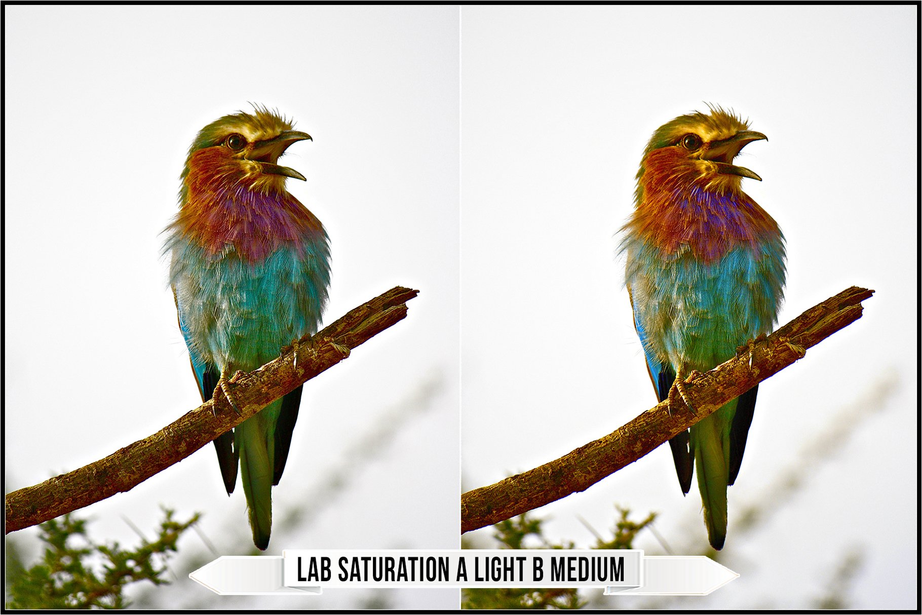 lab saturation a light b medium 372