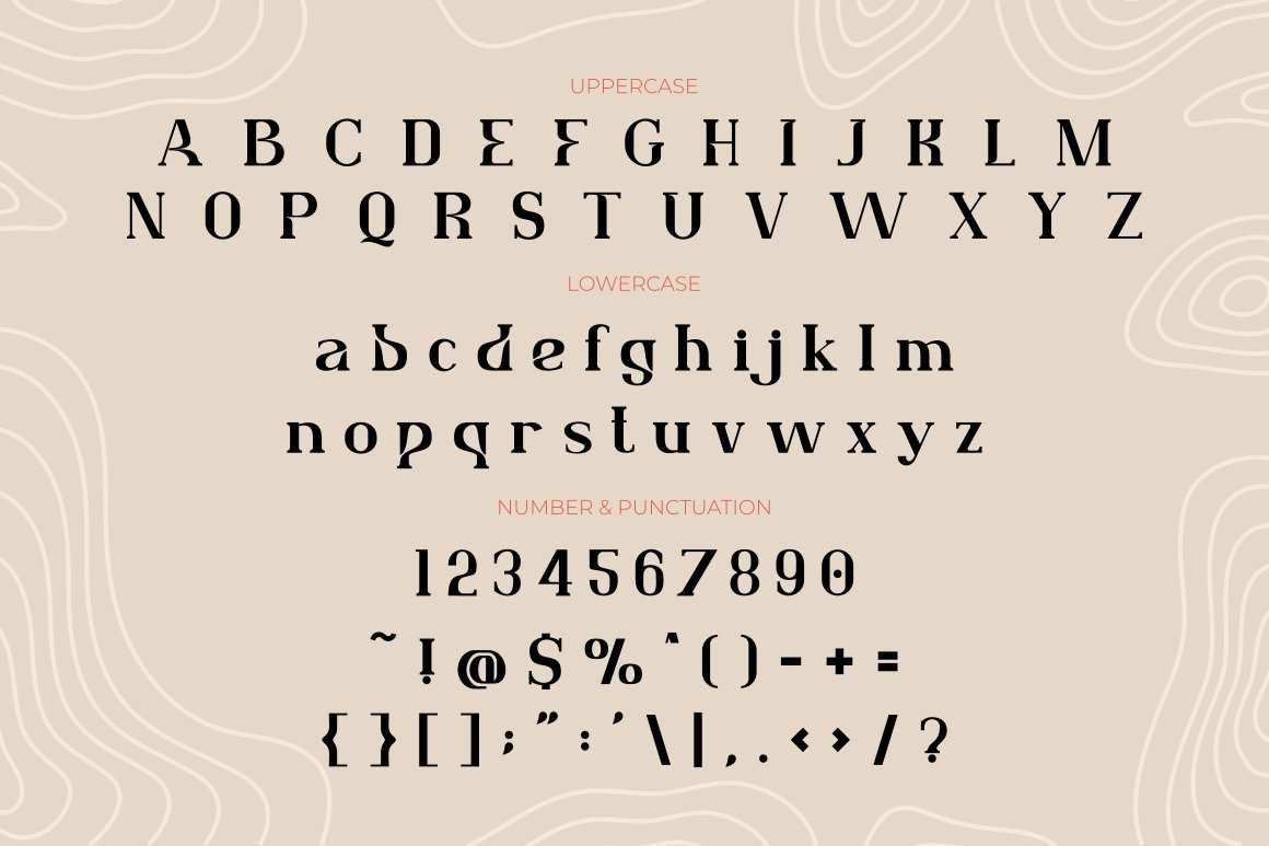 lafonsa stylistic serif font 281329 511