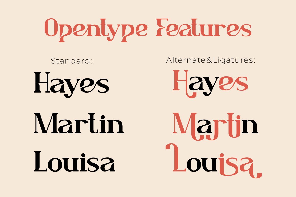 lafonsa stylistic serif font 28829 203