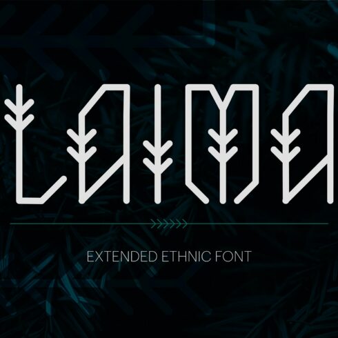 Laima Ethnic Font cover image.