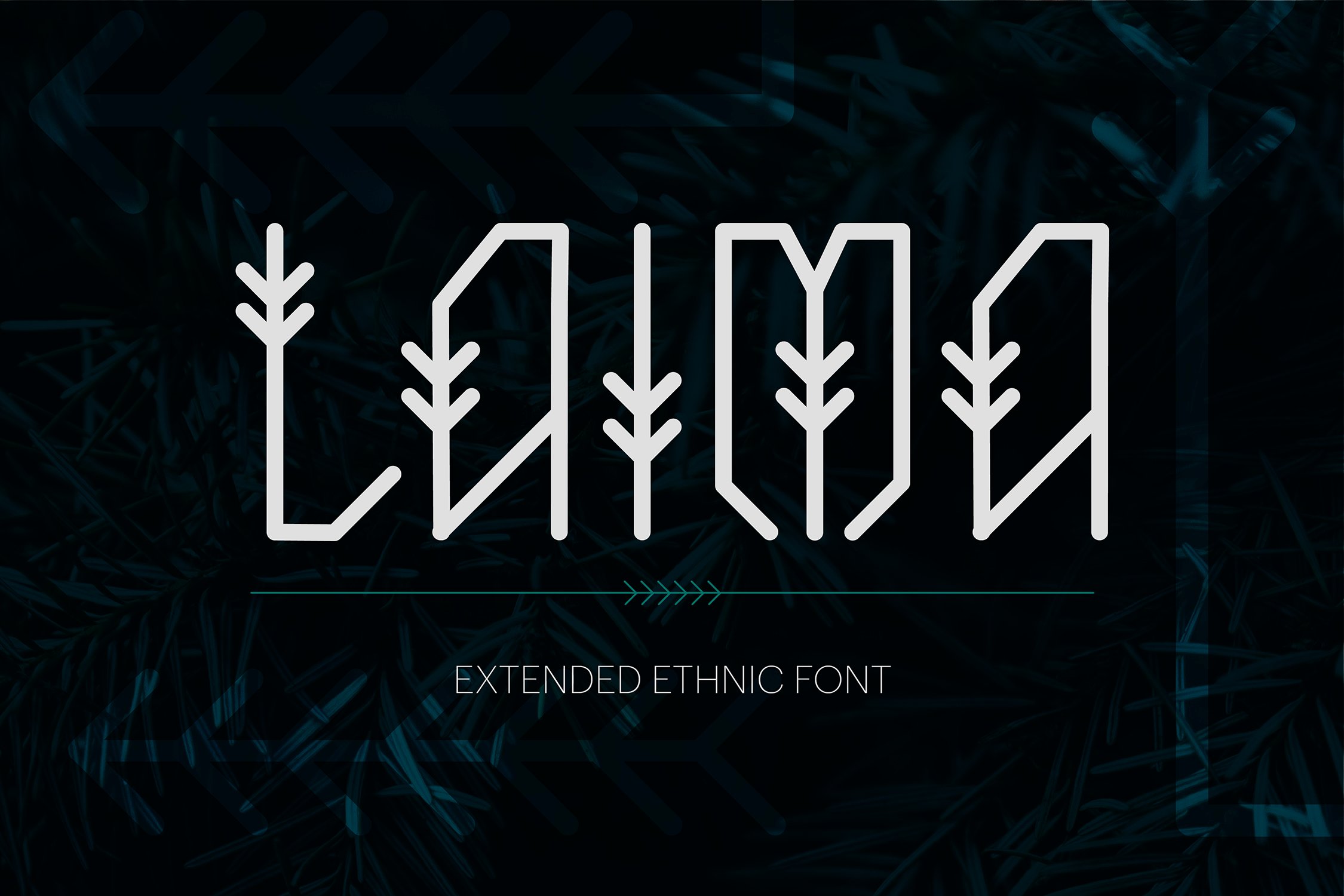 Laima Ethnic Font cover image.