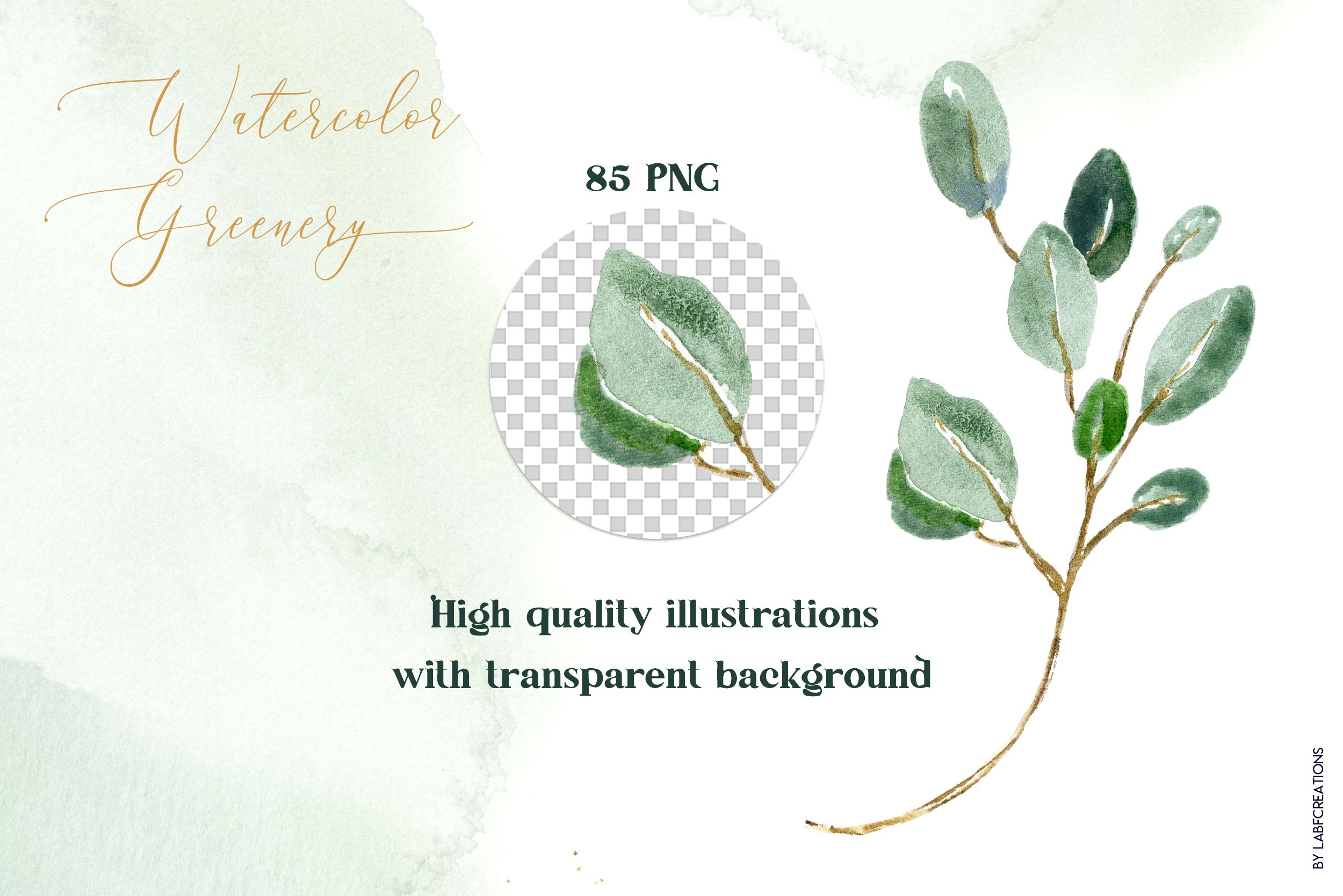 Watercolor painting of a plant with transparent background by Zhou Wenjing.