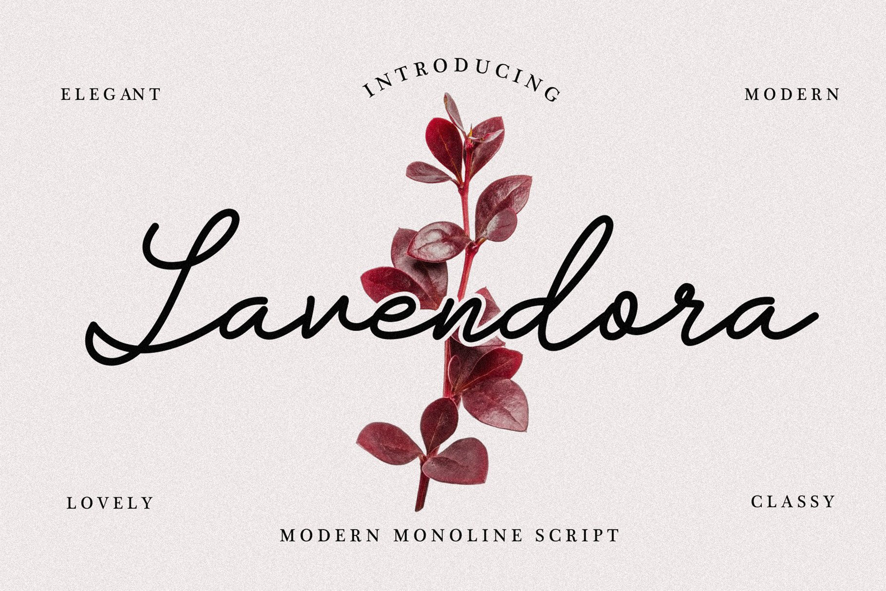Lavendora - Modern Monoline Script cover image.