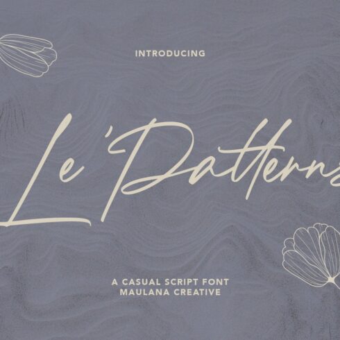 Le Patterns Script Font cover image.