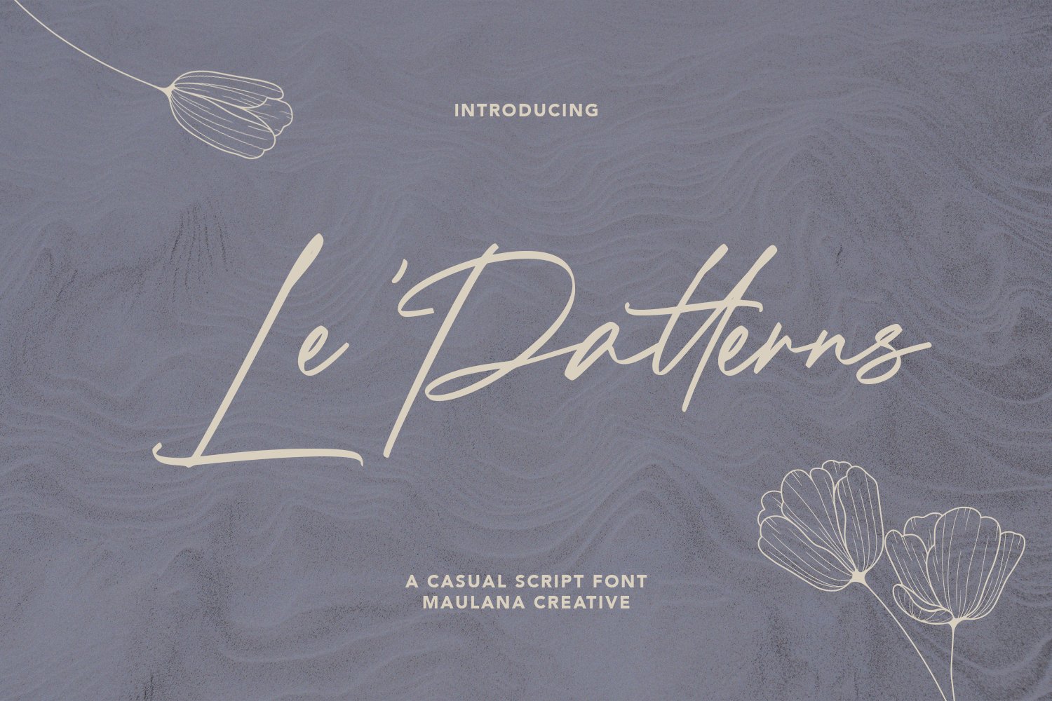 Le Patterns Script Font cover image.