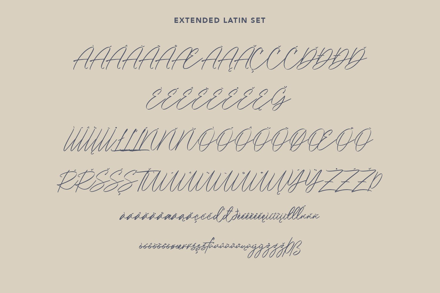 le patterns script font 10 442