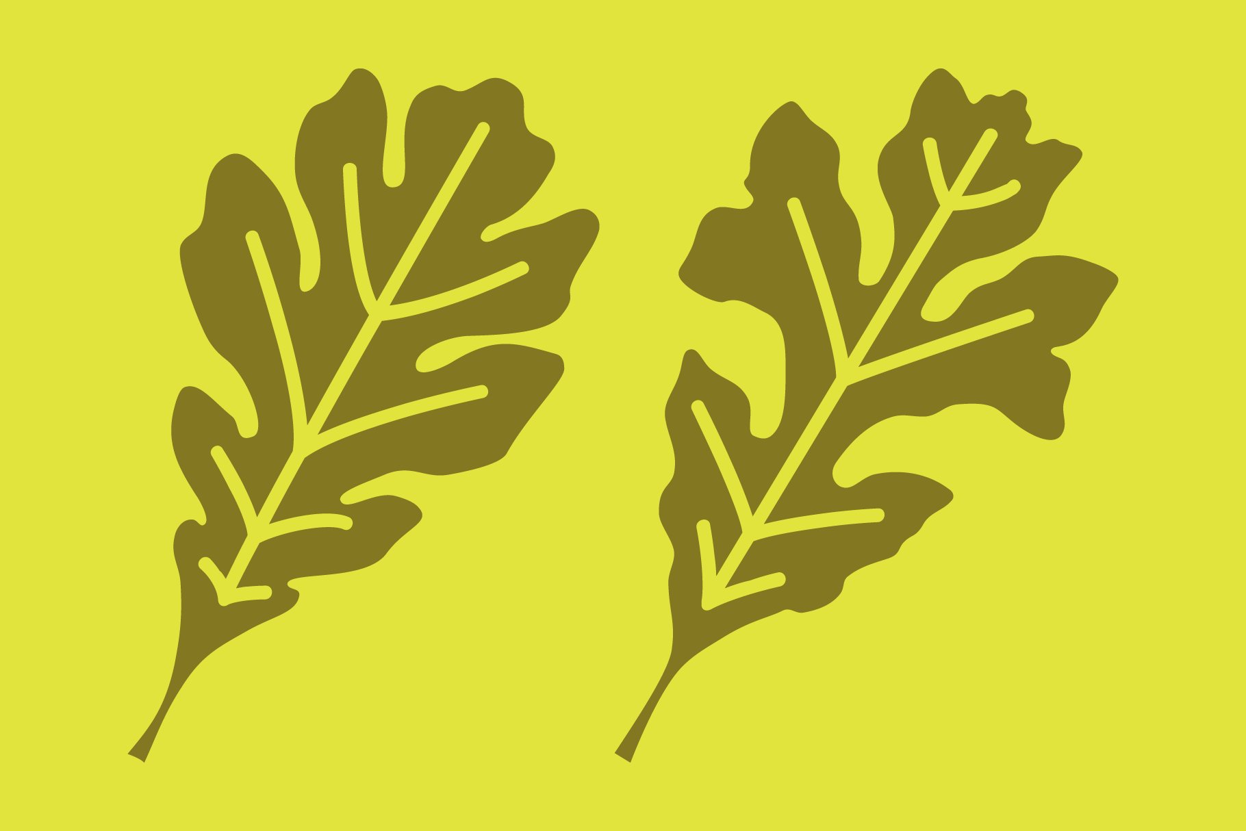 leaf assortment banners 04 885