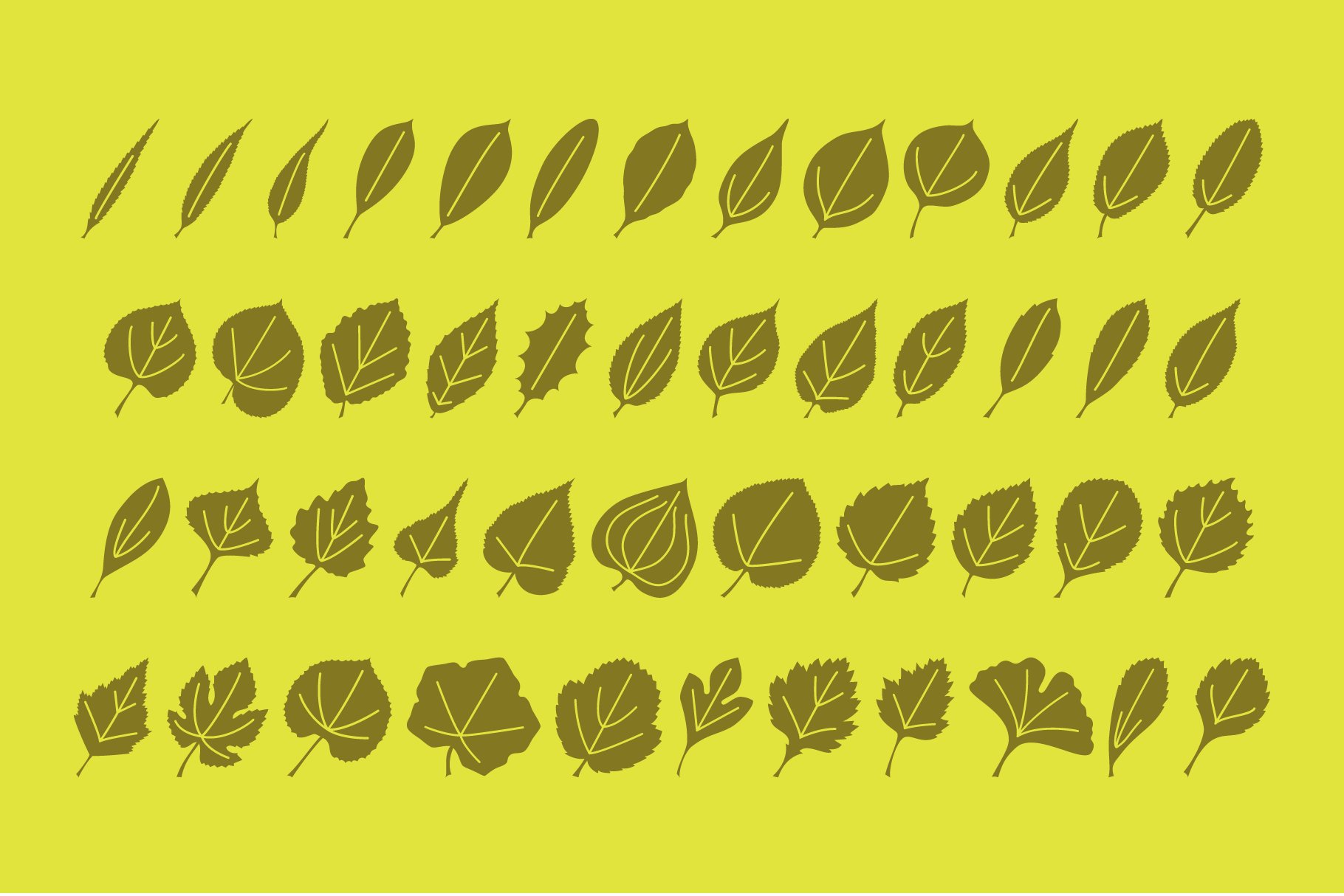 leaf assortment banners 07 704