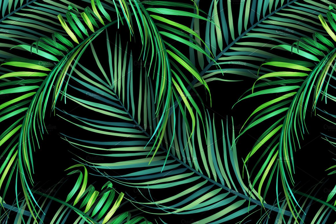 Bunch of green palm leaves on a black background.