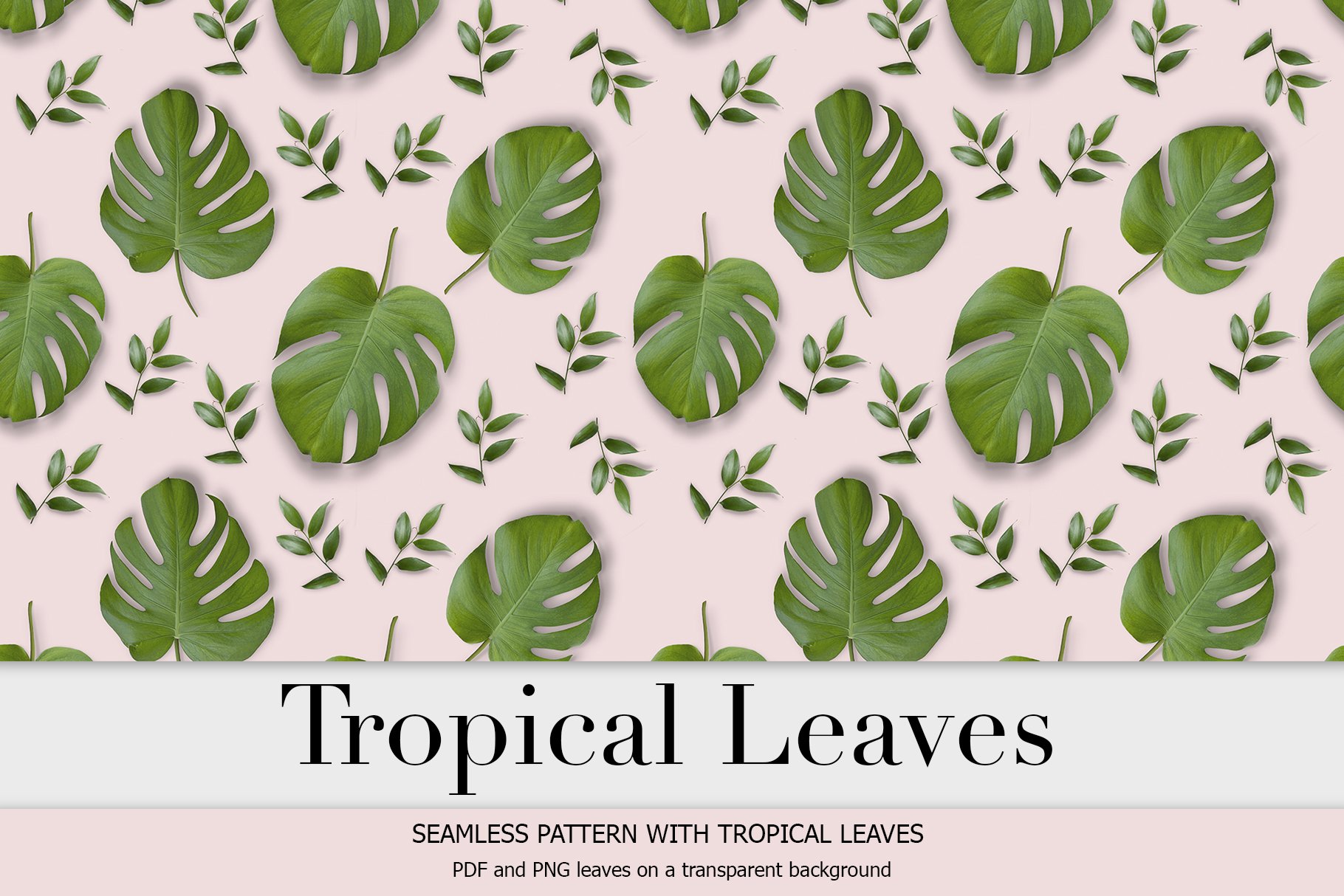 Real tropical leaves preview image.
