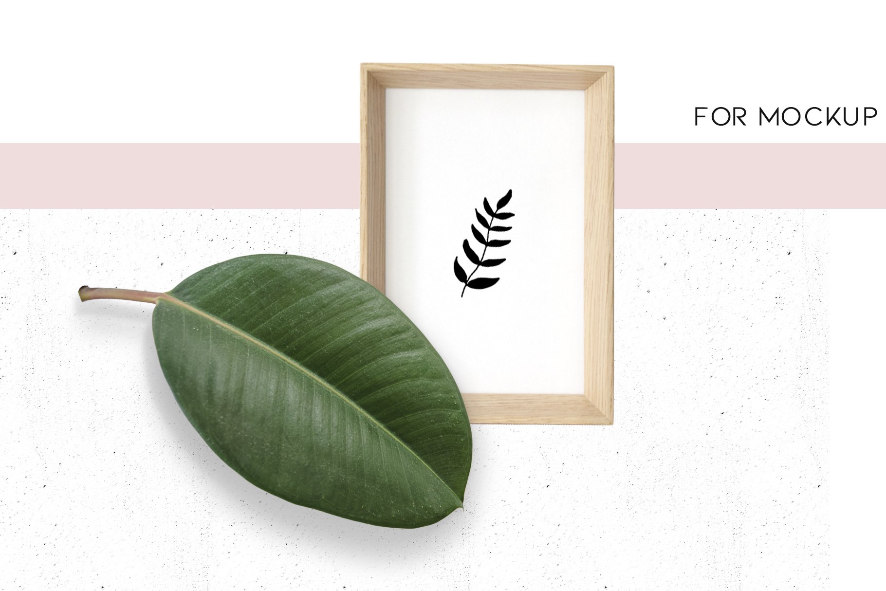 Picture frame with a green leaf next to it.