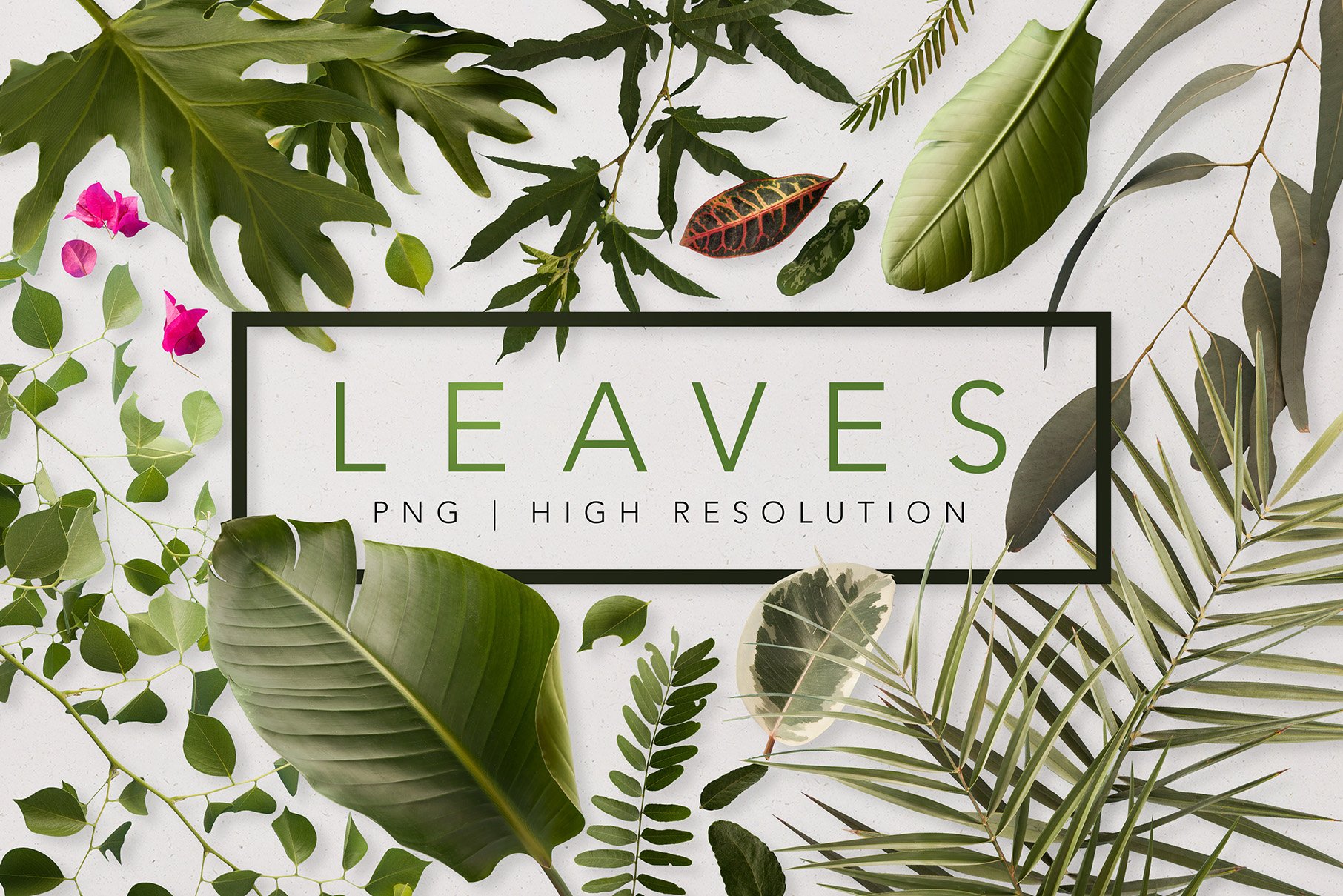 Real Leaves - Green Cutout Leaf cover image.