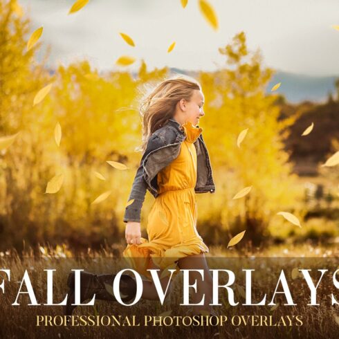 Fall Overlays Photoshopcover image.