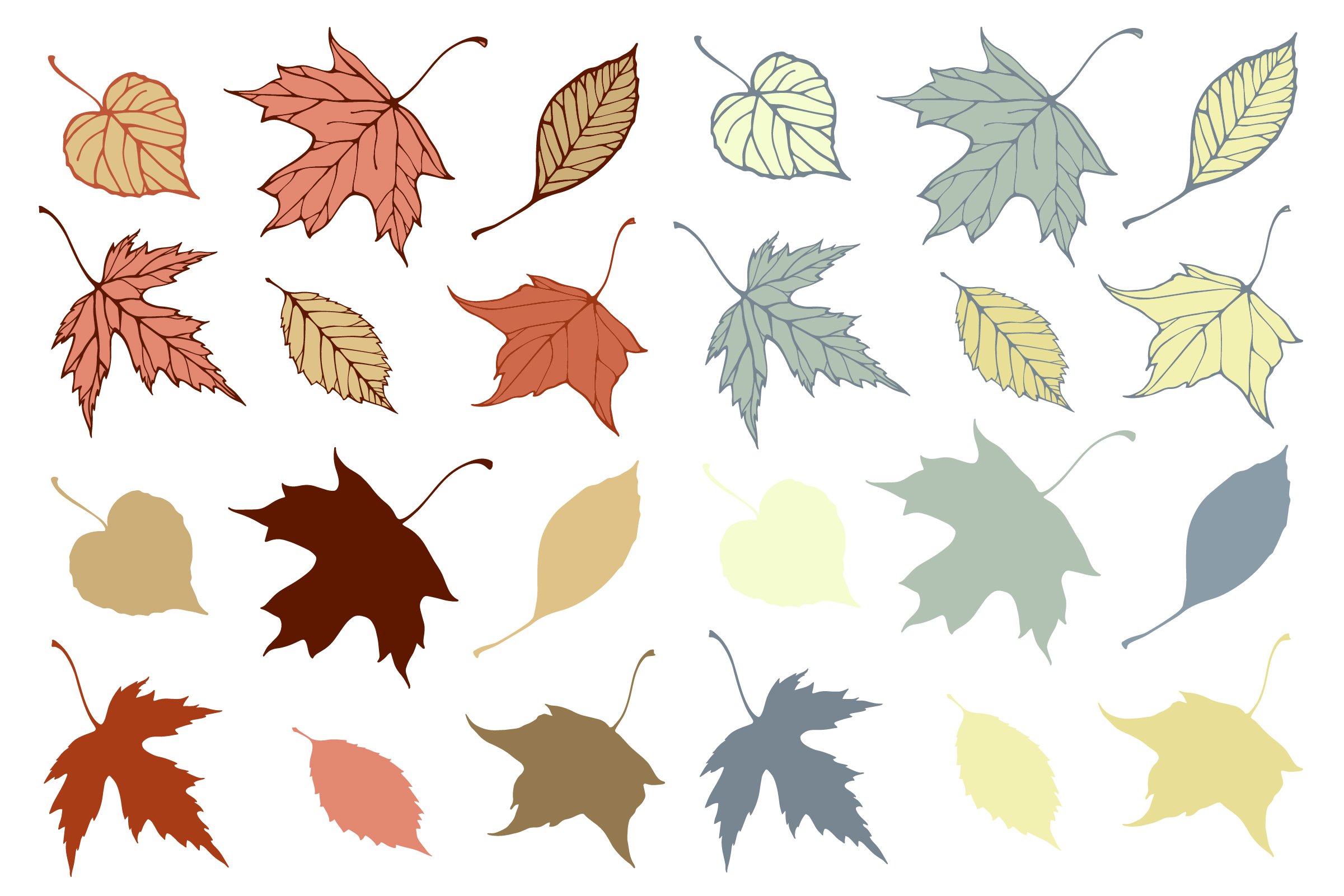 Bunch of different colored leaves on a white background.