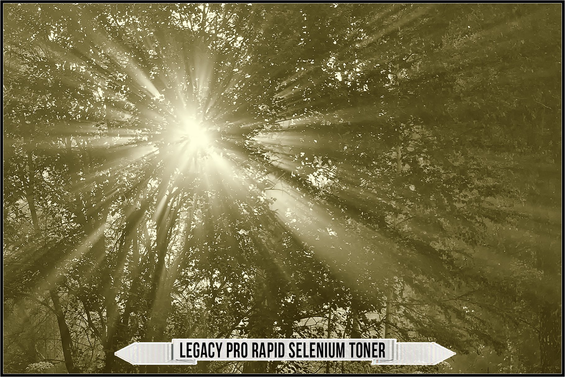 legacy pro rapid selenium toner 116