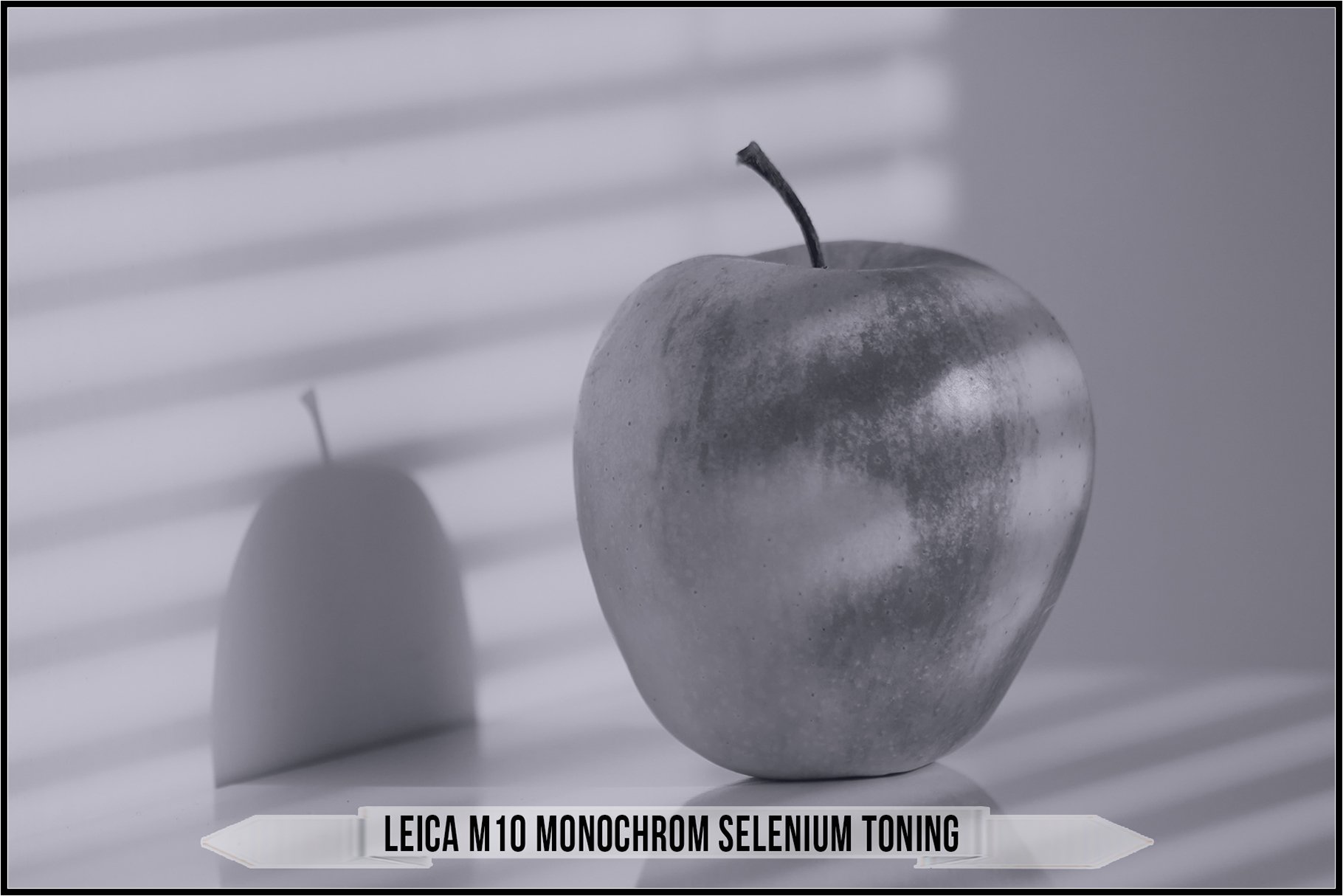 leica m10 monochrom selenium toning 969