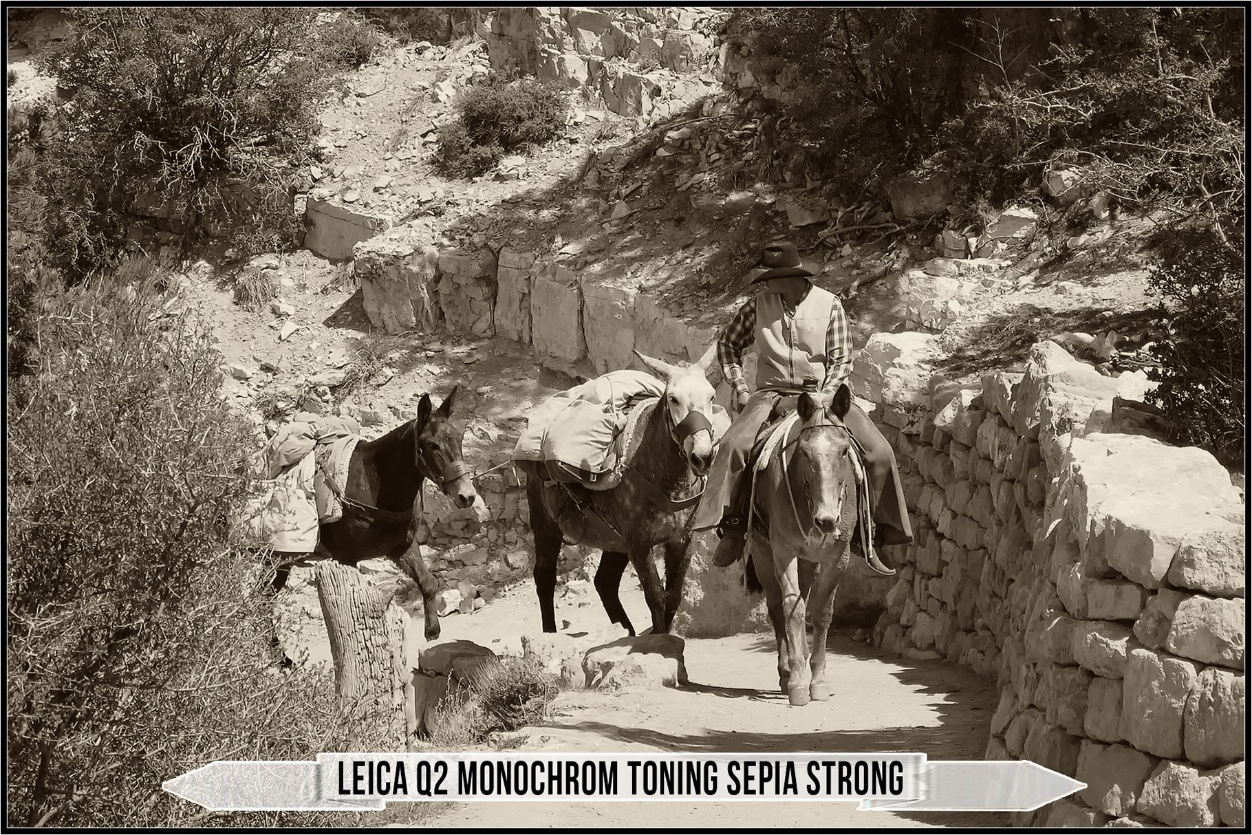 leica q2 monochom toning sepia strong 932