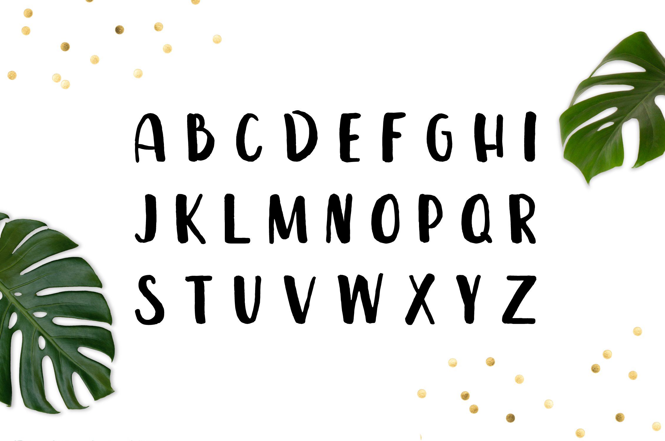 Leira Extended Hand Drawn Brush Font preview image.