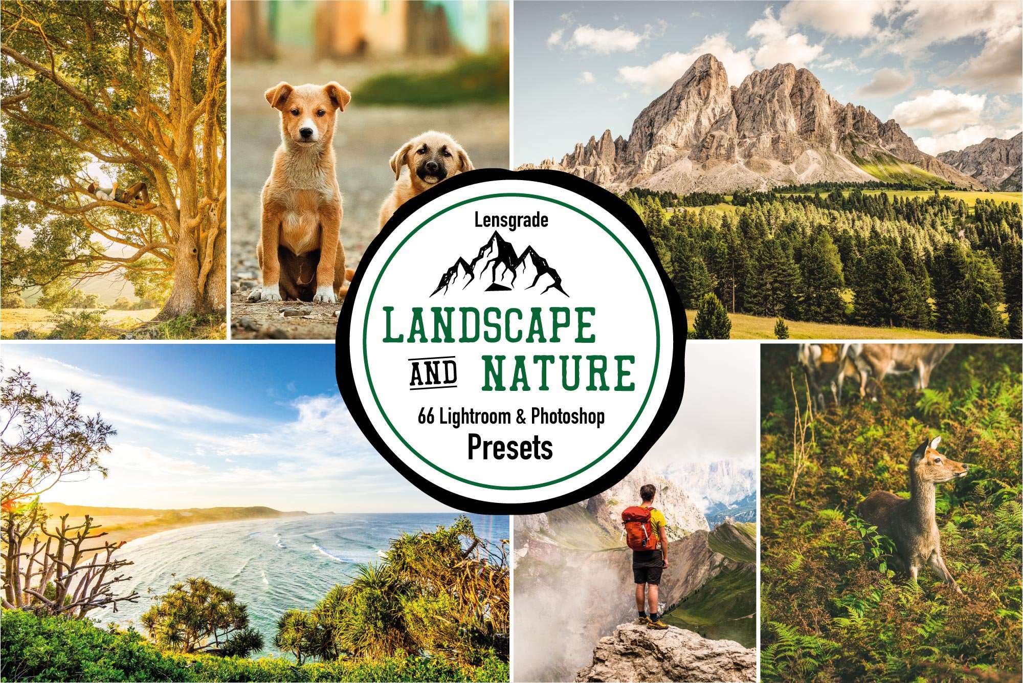lensgrade landscape presets cover 695