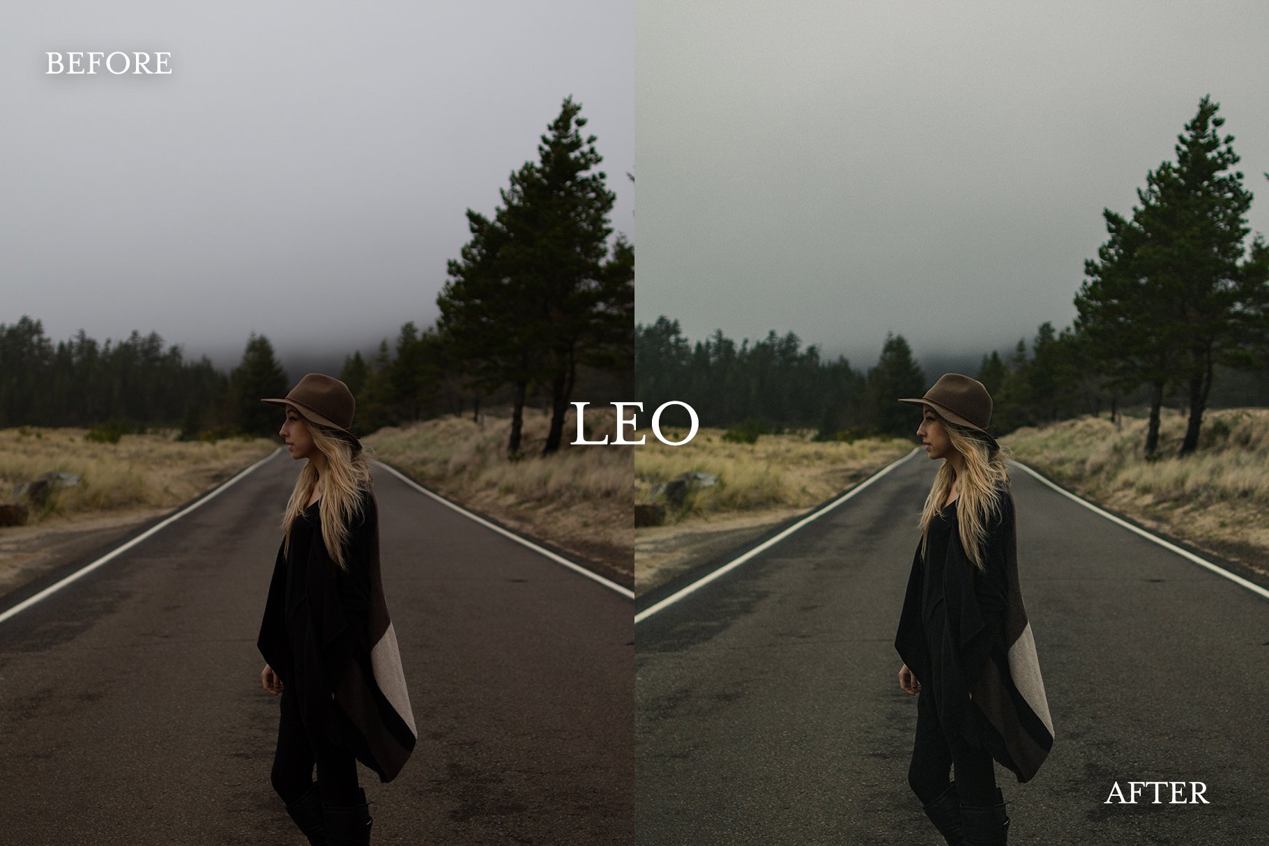 leo preview 206