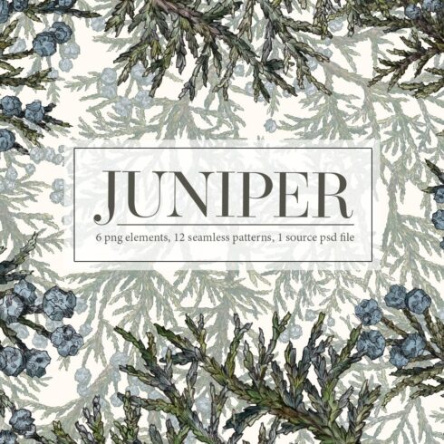 Juniper. Seamless patterns cover image.