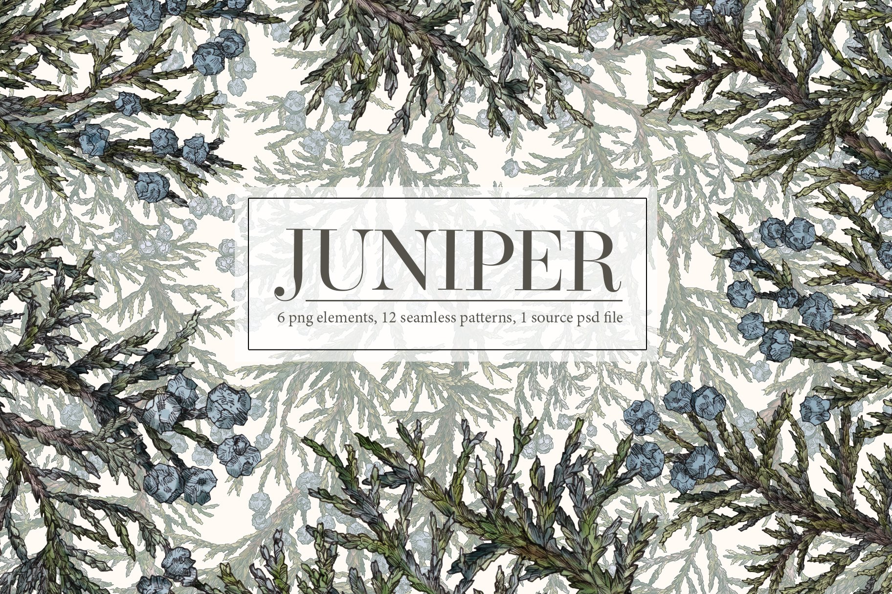 Juniper. Seamless patterns cover image.