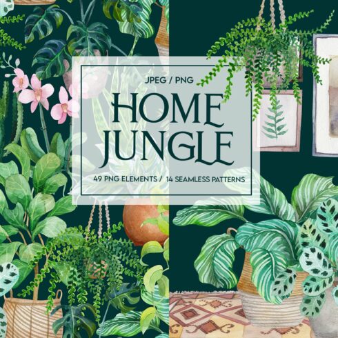 Home jungle cover image.
