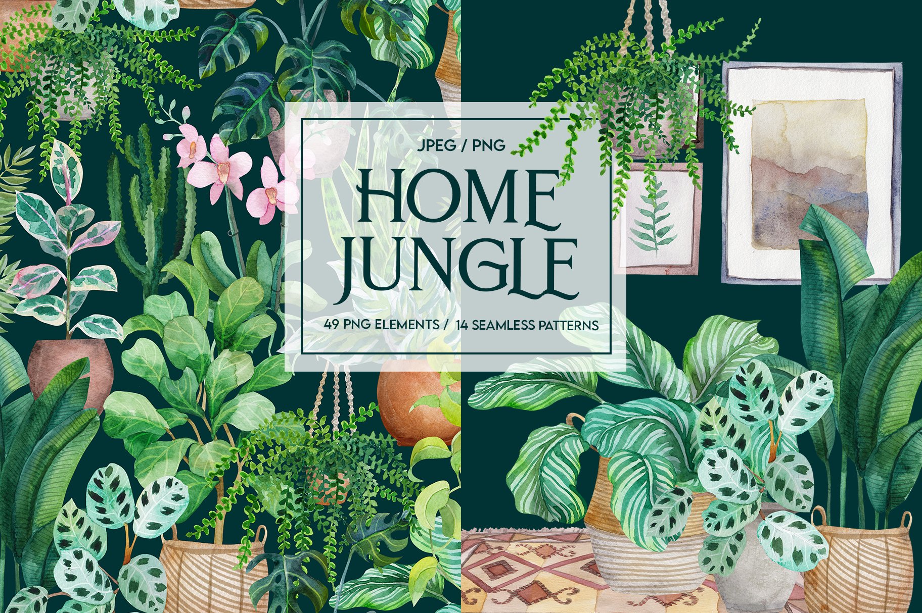Home jungle cover image.