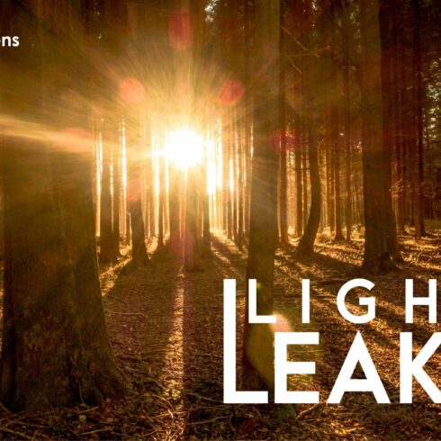 Light Leaks Senses Lightroom Presetscover image.