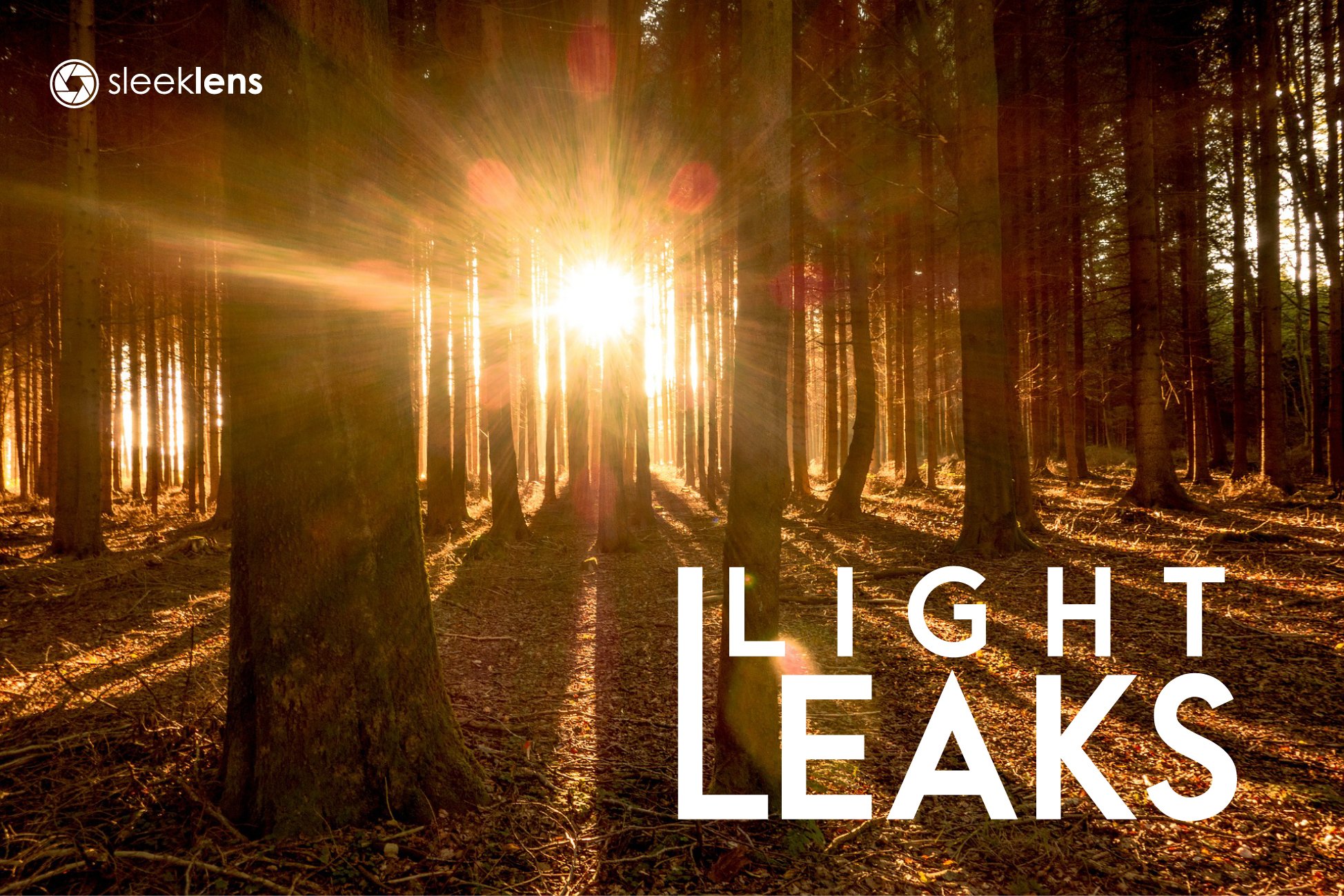 Light Leaks Senses Lightroom Presetscover image.