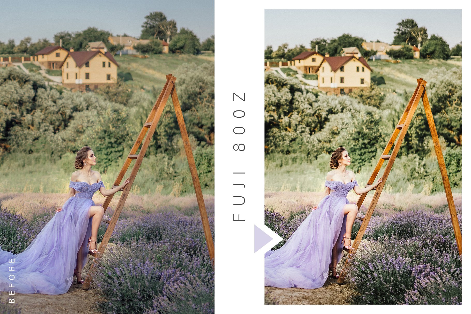 lightroom preset fuji 800z 317