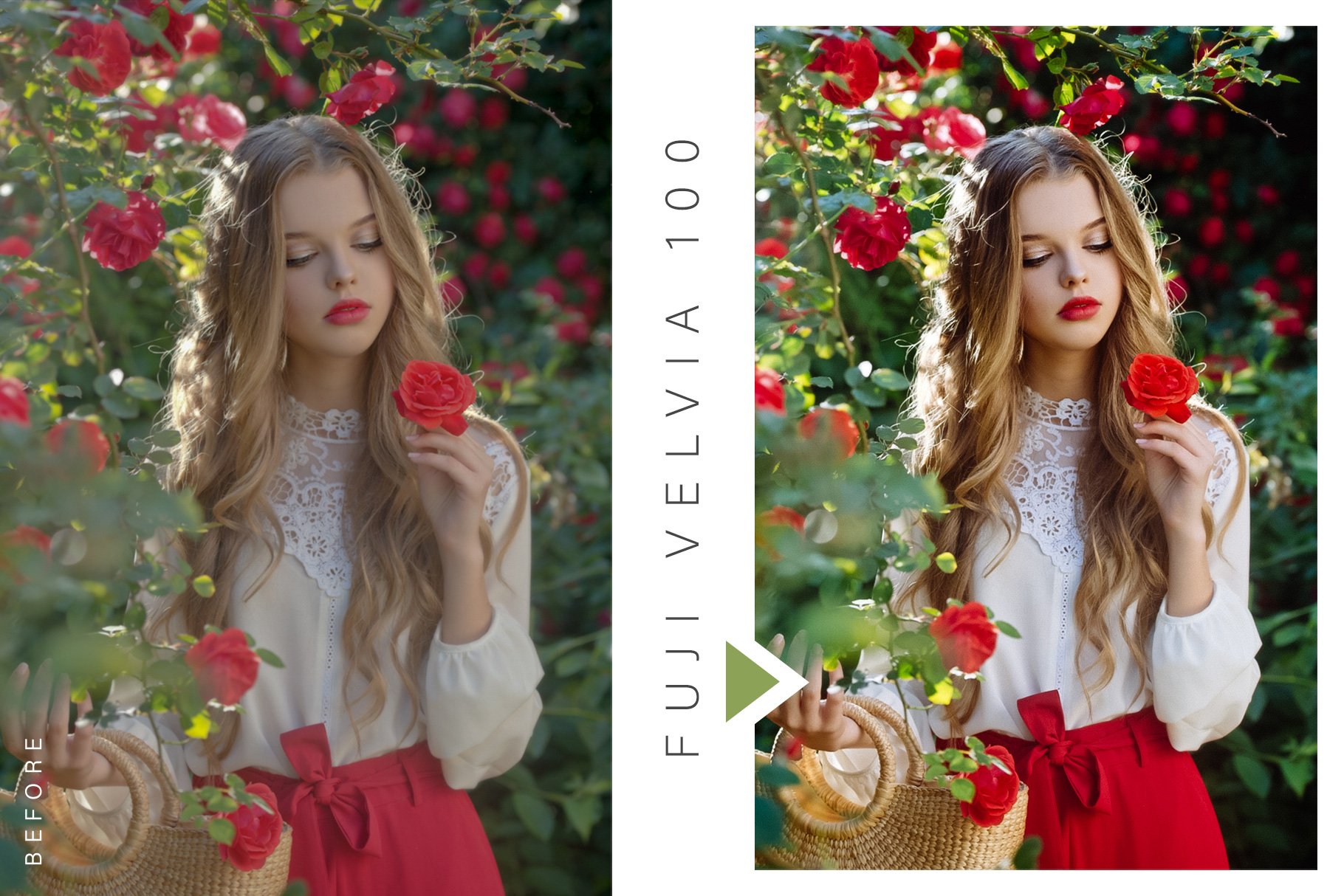 lightroom preset velvia 100 539