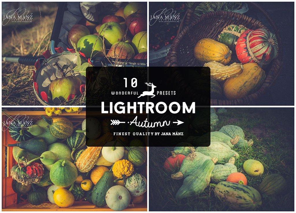 10 Autumn Vintage Lightroom Presetscover image.
