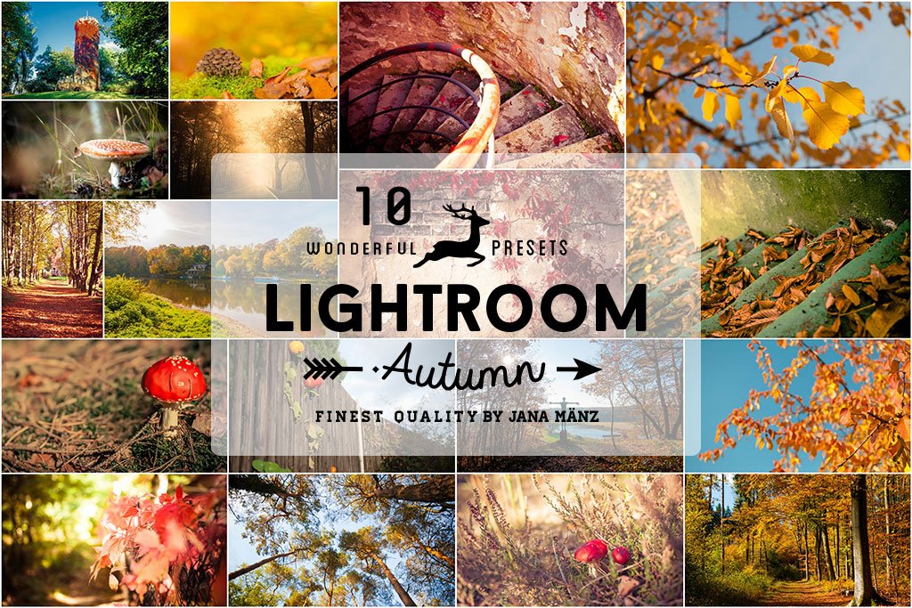 10 Autumn Vintage Lightroom Presetspreview image.