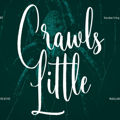 Little Crawls Script Font cover image.