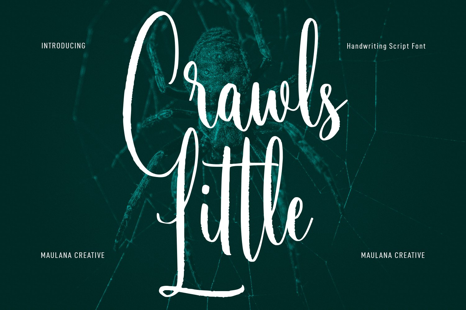 Little Crawls Script Font cover image.